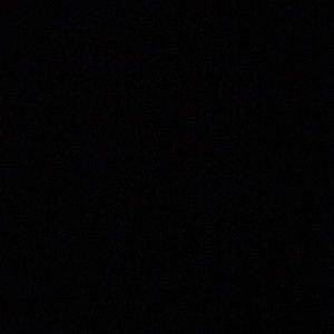 Meet your Posher, Samuel